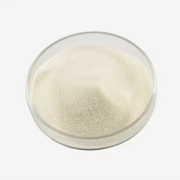 ᱯᱨᱚᱜᱚᱨᱟᱢ ᱨᱮ ᱘᱐% ᱯᱨᱚᱯᱷᱮᱥᱚᱱᱟᱞ ᱠᱚ ᱦᱚᱛᱮᱛᱮ ᱾